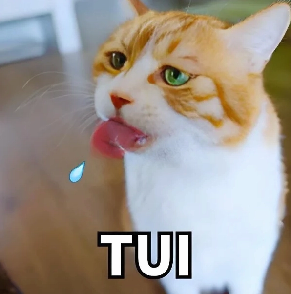Khám phá bộ sưu tập meme cười khinh bỉ và thái độ 'cool ngầu'
