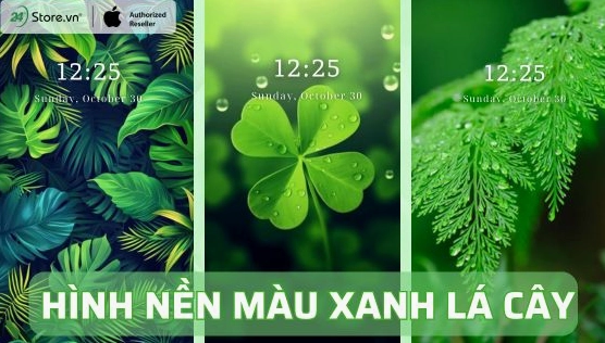 Khám Phá Hình Nền Xanh Lá: Biến Hóa Không Gian Số Của Bạn
