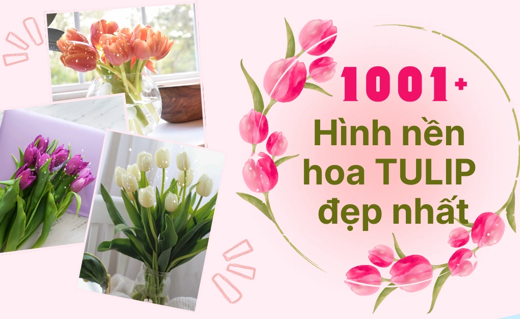 Khám phá vẻ đẹp tinh tế với hình nền hoa tulip xanh