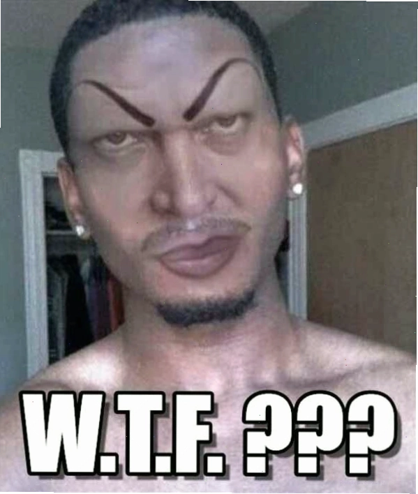 Khoảnh khắc hài hước của một chú chó với biểu cảm "WTF"