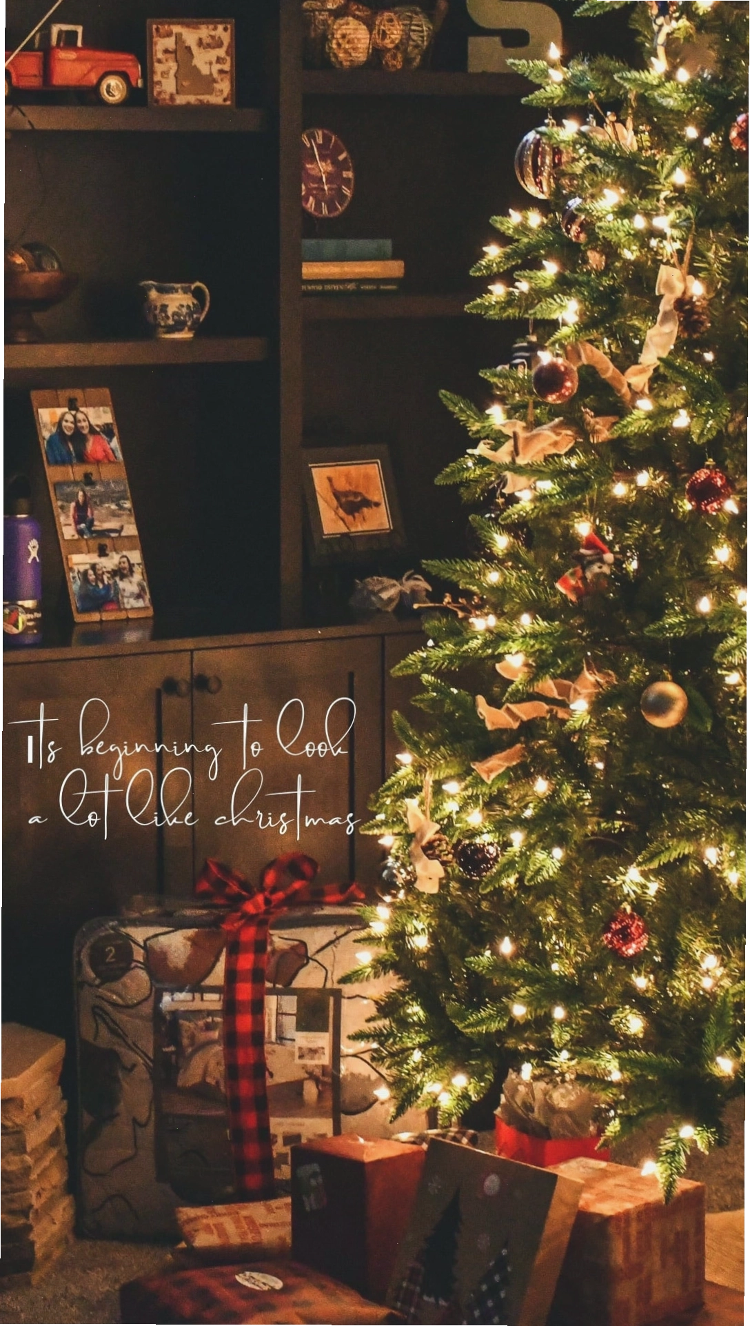 Không gian lung linh bên cây thông Noel