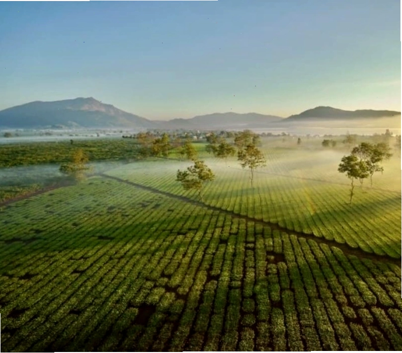 Khung cảnh thiên nhiên hùng vĩ tại Gia Lai