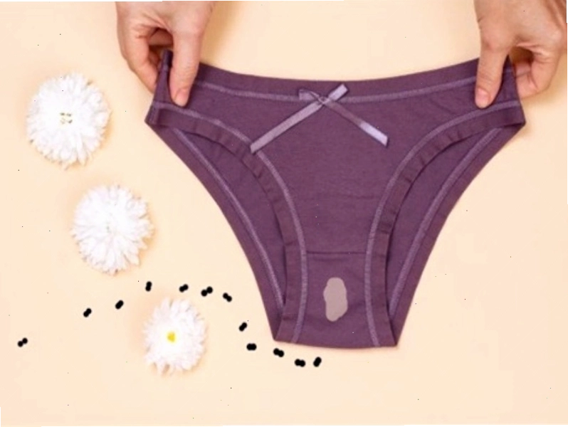 Kiến bu quần lót có thể liên quan đến bệnh phụ khoa