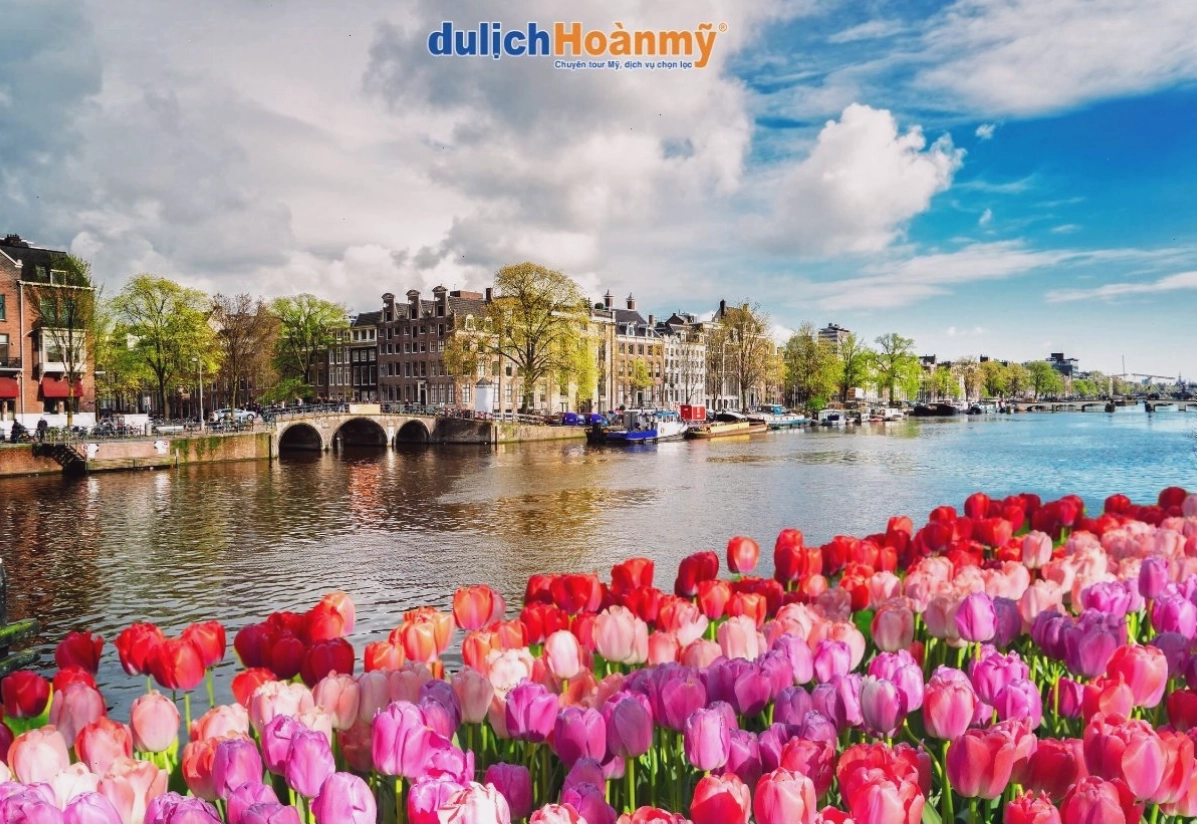 Kiến trúc Amsterdam với hoa tulip rực rỡ