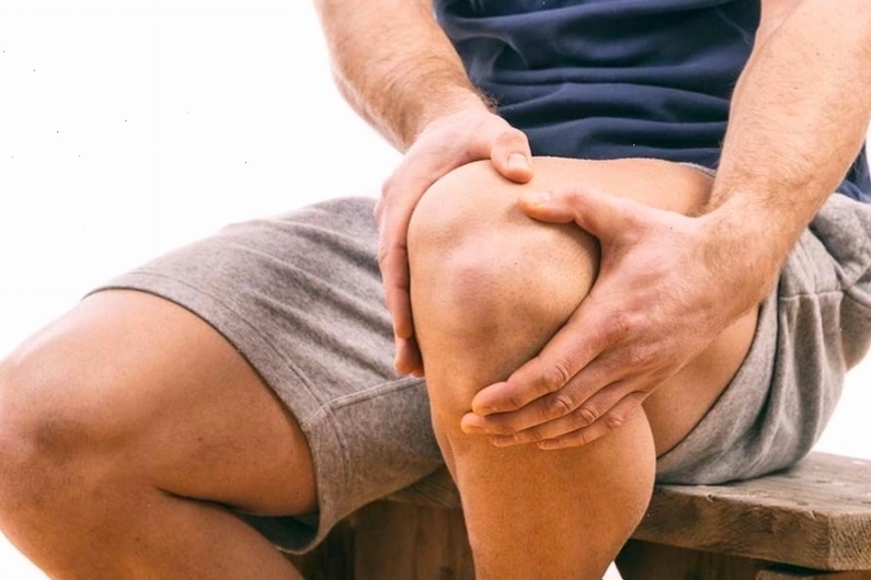 Lá sầu đâu tươi xanh với nhiều công dụng chữa bệnh