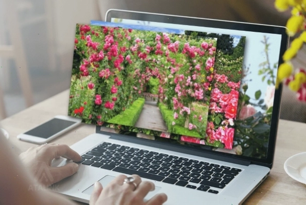 Laptop Dell với hình nền tùy chỉnh