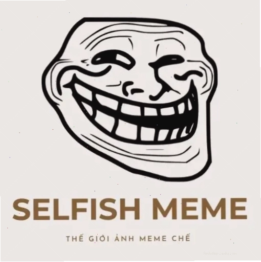 Logo The Selfish Meme