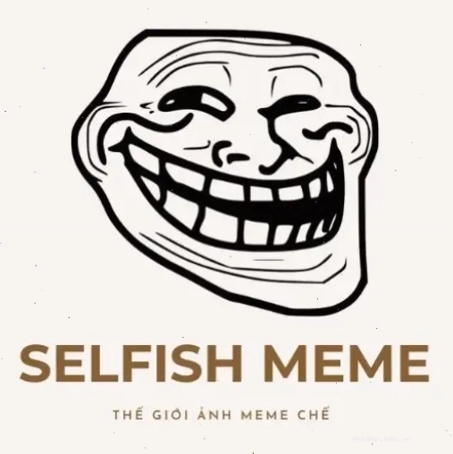 Logo website The Selfish Meme