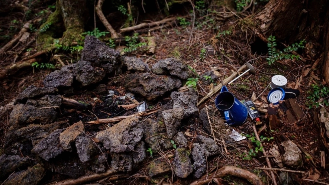 Lost items scattered on the ground of the Aokigahara forest