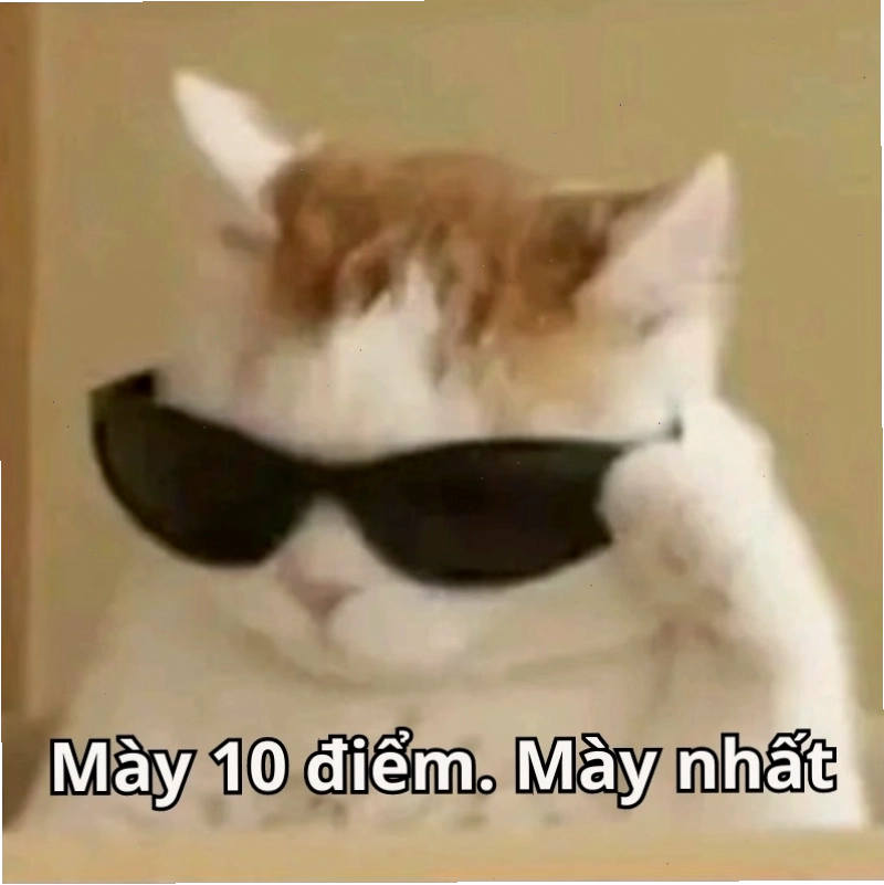 Meme 10 điểm với thông điệp hài hước