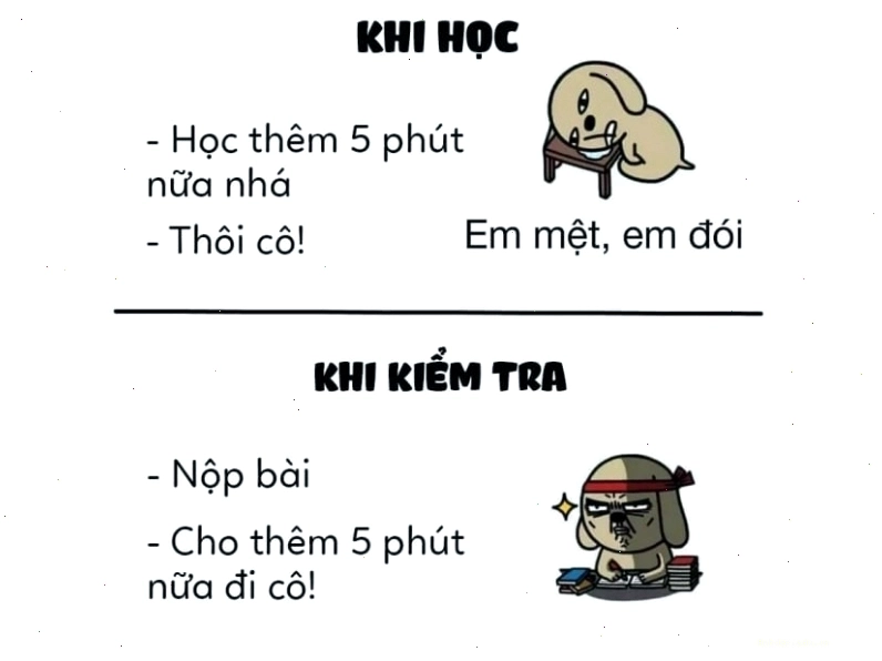 Meme 5 phút khi học và khi kiểm tra