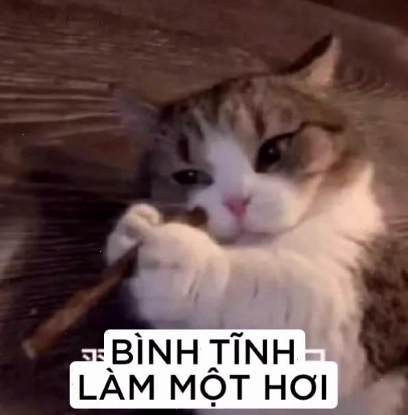 Meme biểu cảm khoan đã, đừng manh động