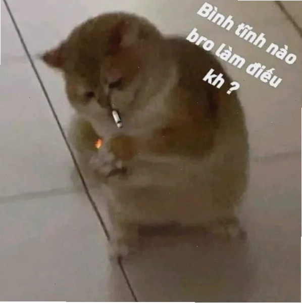 meme bình tĩnh (13)