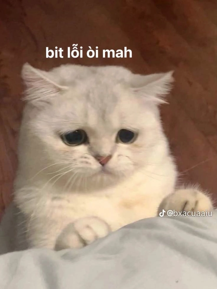 Meme cạn lời 30+ hình chế bó tay khi không thể cứu nổi