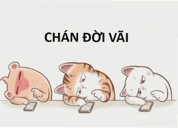 Meme cạn lời chỉ biết nhìn trời