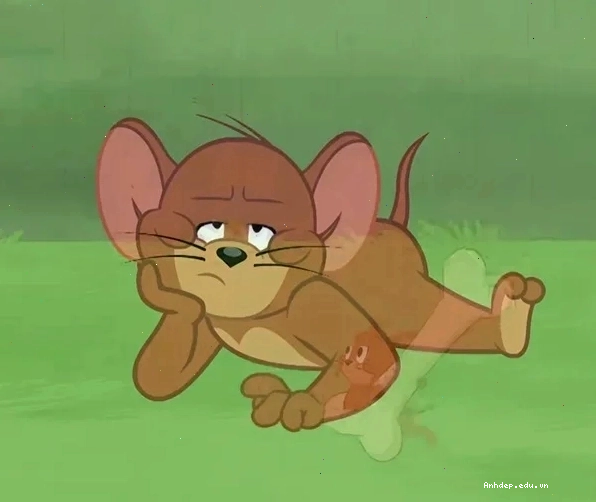 Meme cạn lời trước sự thật phũ phàng