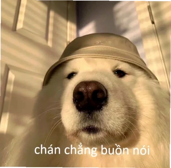 Meme chế cạn lời thể hiện sự im lặng tuyệt đối