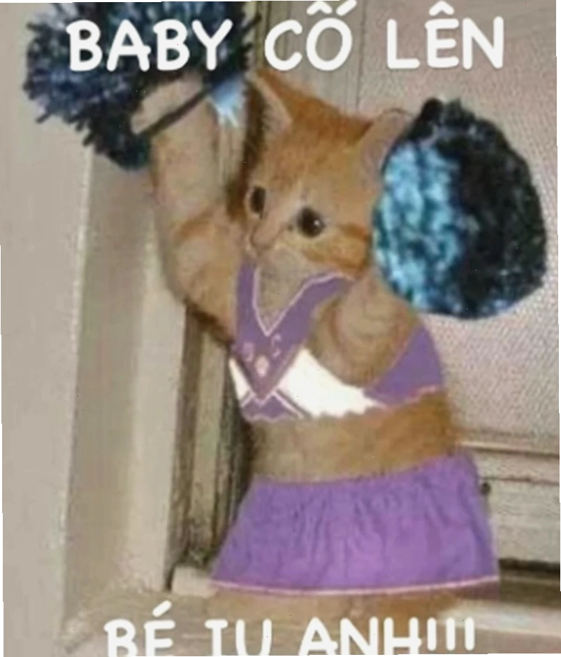 Meme cố lên với biểu cảm hài hước