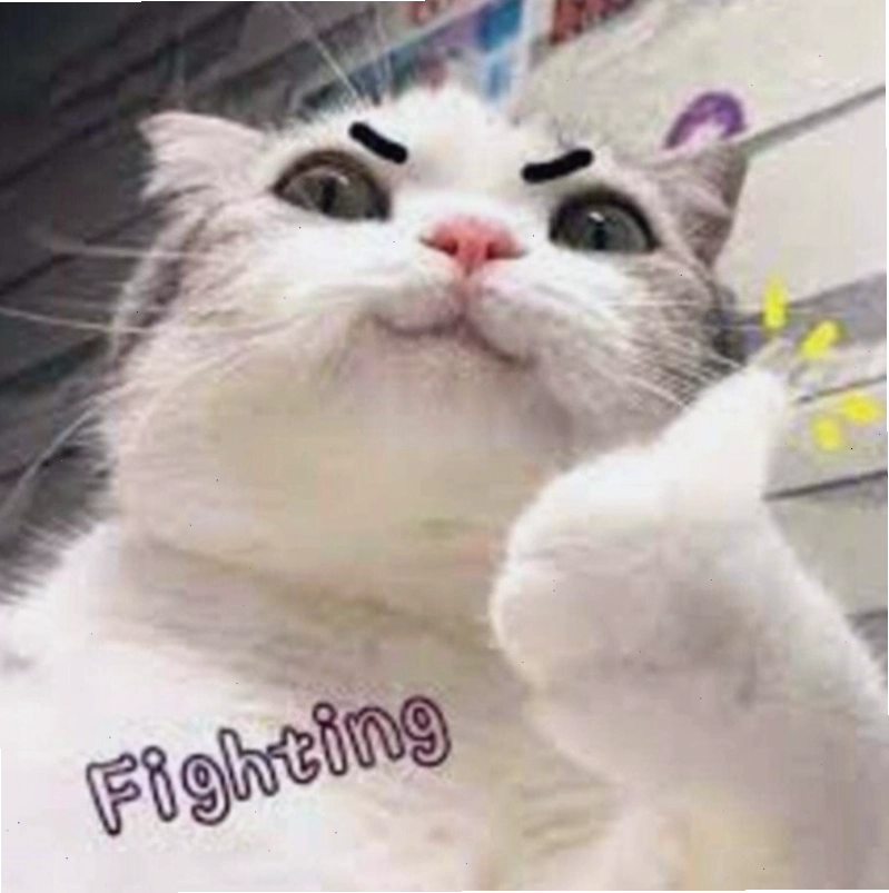 Meme cố lên với hình ảnh con vật ngộ nghĩnh