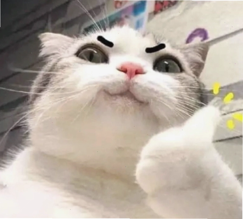 Meme cố lên vui nhộn