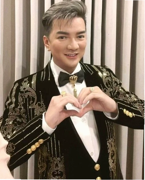 Meme Đàm Vĩnh Hưng đơn giản