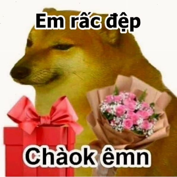 Meme em đẹp lắm hài hước, mang lại tiếng cười sảng khoái