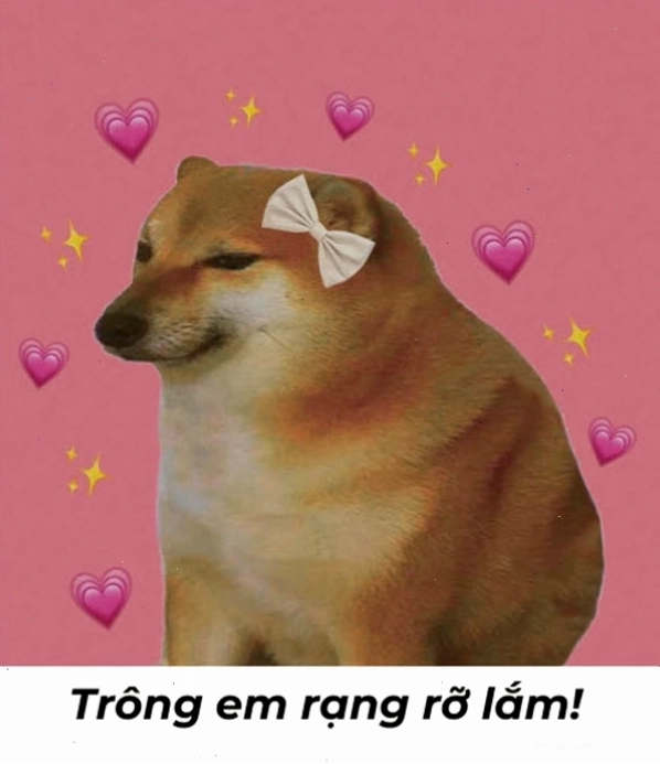 Meme em đẹp lắm hài hước nhất với biểu cảm tự tin