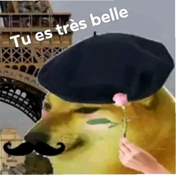 Meme em đẹp lắm hình chú chó