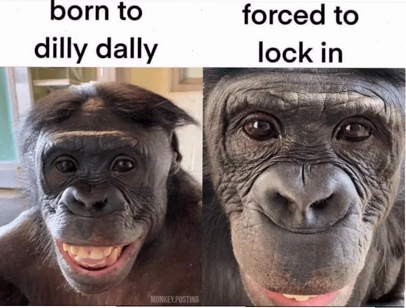 Meme khỉ phản ứng hài hước