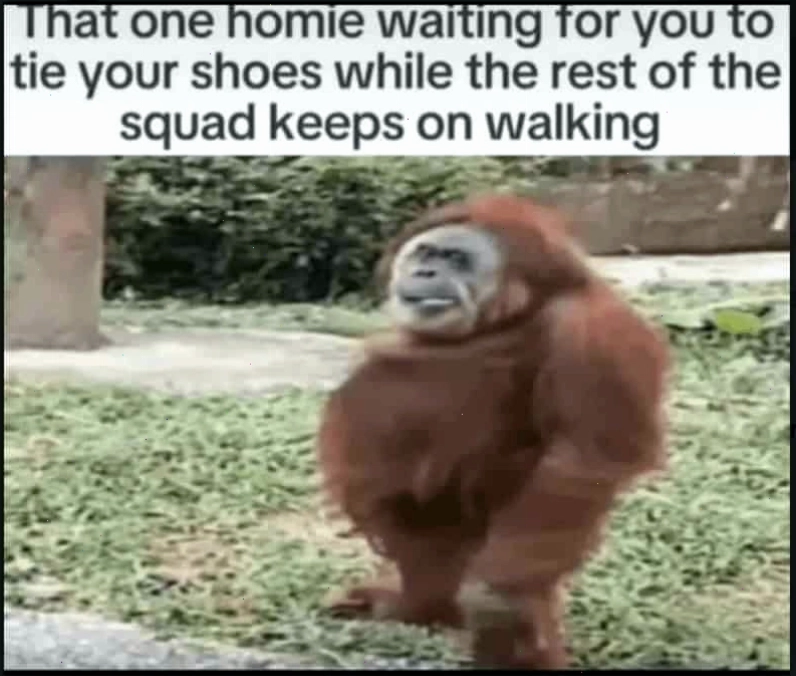 Meme khỉ thể hiện sự khó chịu