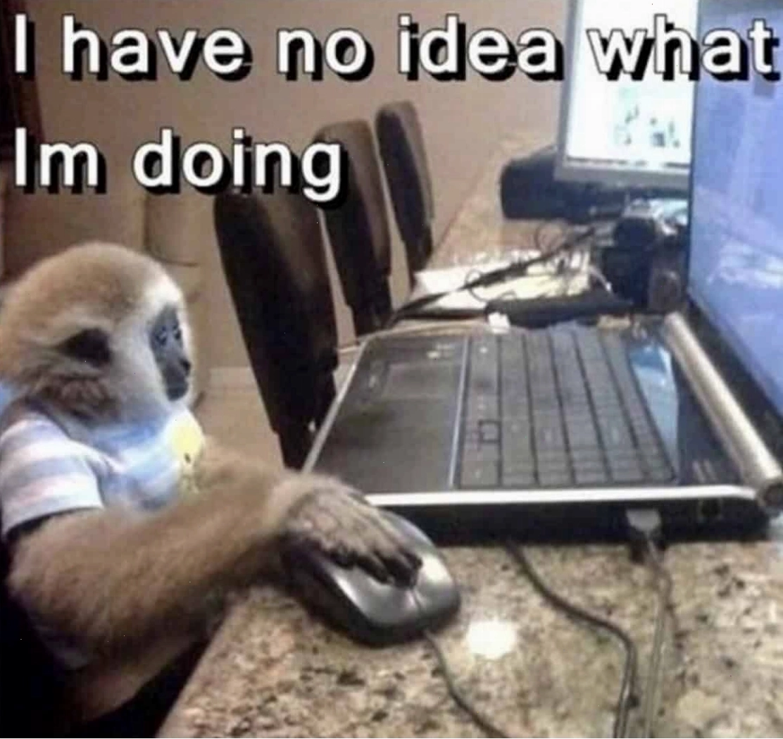 Meme khỉ với ánh mắt đầy suy tư