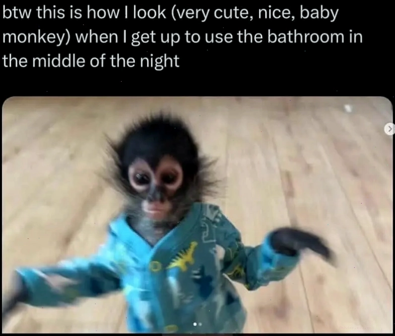 Meme khỉ với biểu cảm bất ngờ