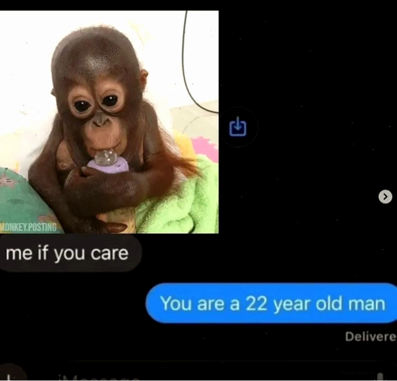Meme khỉ với nụ cười ẩn ý