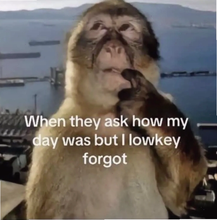 Meme khỉ với vẻ mặt khó hiểu