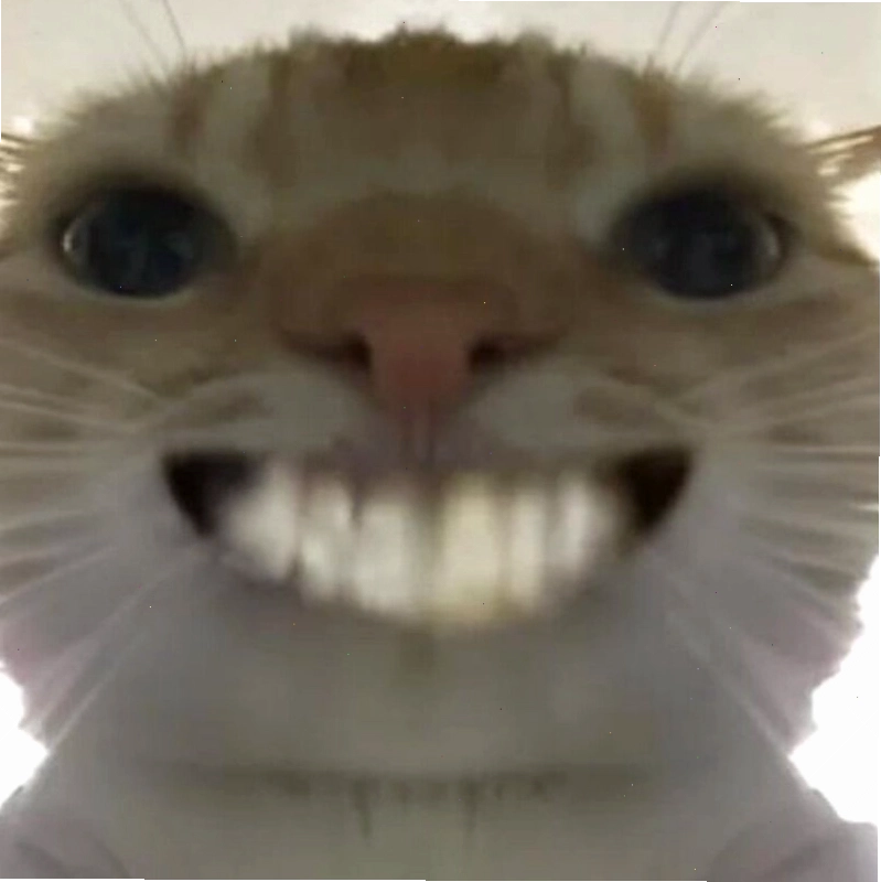 Meme mèo cười nhe răng, vẻ tinh nghịch