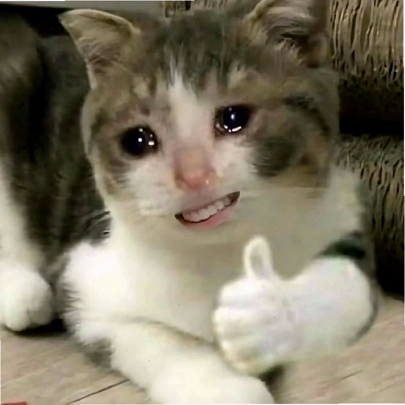 Meme mèo cười nhe răng với vẻ lém lỉnh