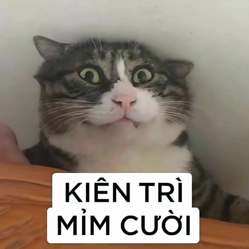 Meme mèo cười nhếch mép đầy tự tin