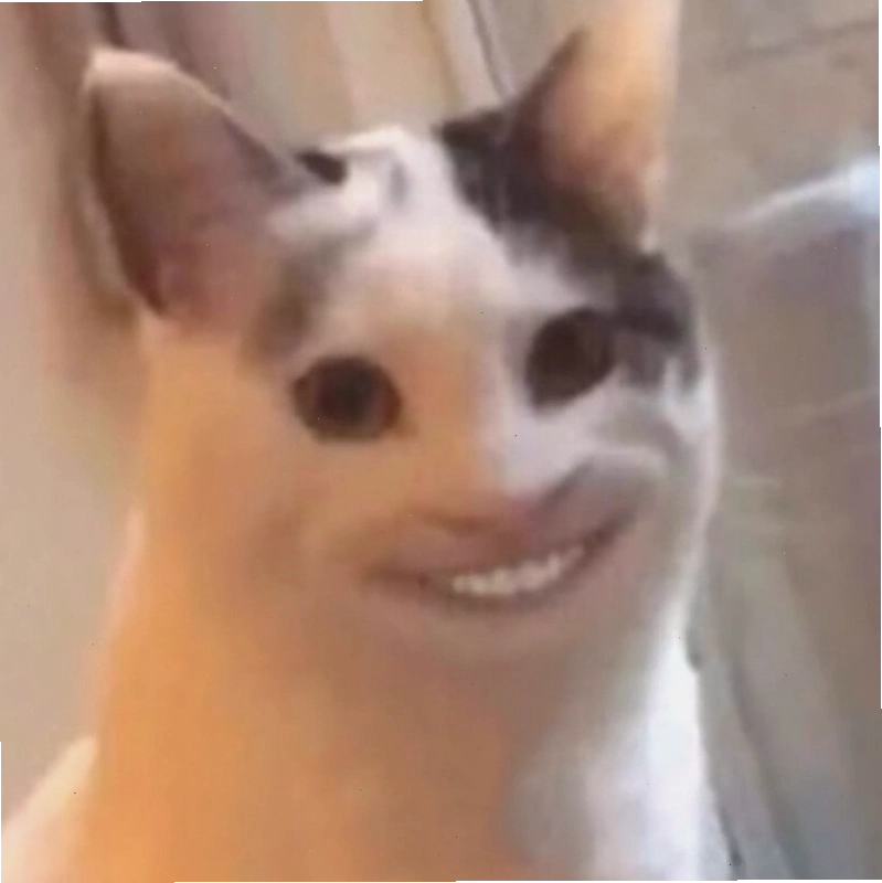 Meme mèo cười nhếch mép với ánh mắt lanh lợi
