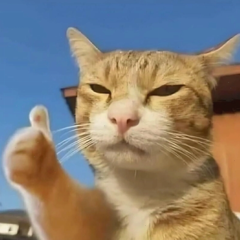 Meme mèo cười với biểu cảm đầy ẩn ý