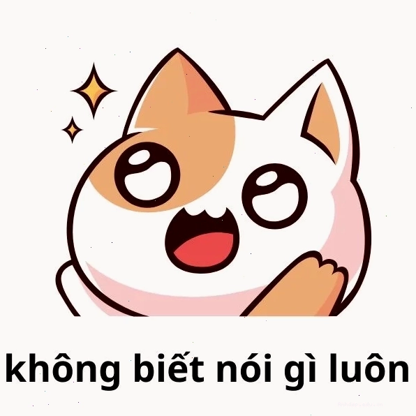 Meme mèo với biểu cảm không biết nói gì