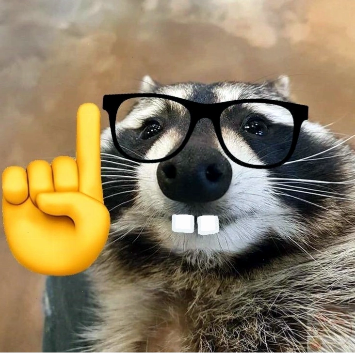 Meme mọt sách gợi nhớ về những người bạn thông minh nhưng đôi khi hơi "khác người"