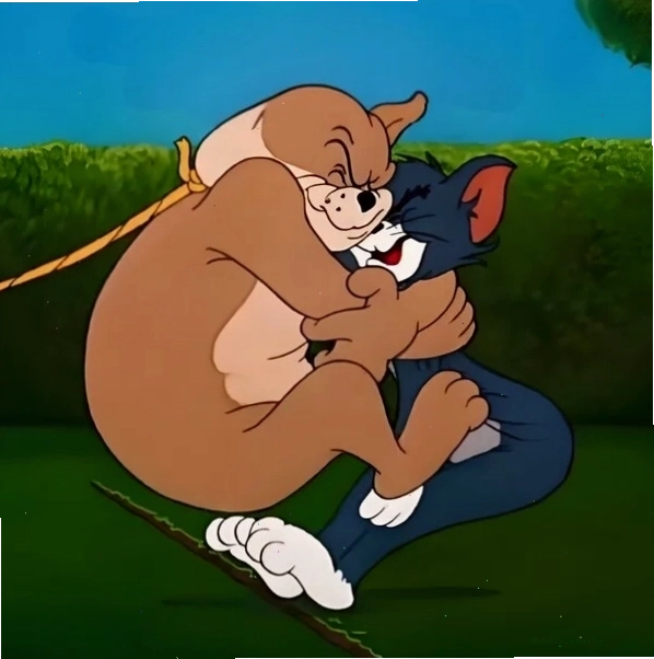 Meme ôm mèo Tom ngộ nghĩnh