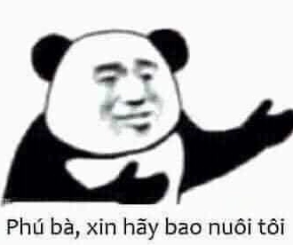 Meme "Phú Bà Nha Đầu Ngốc": Câu Chuyện Gây Ám Ảnh Và Bài Học Đắt Giá