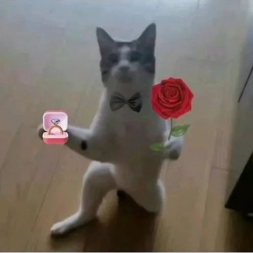 Meme Tặng Hoa: Tuyển Tập Ảnh Chế Hài Hước và Đáng Yêu Nhất 2026
