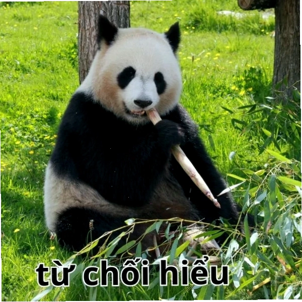 Meme từ chối hiểu