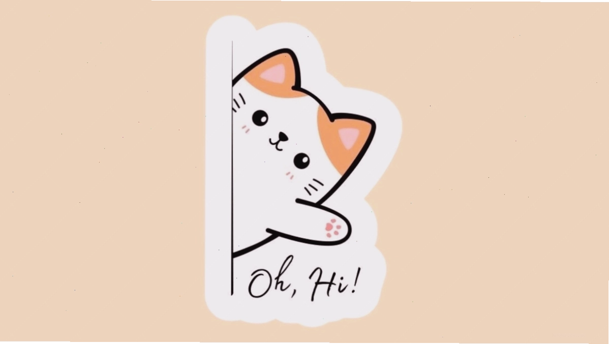 Mèo chibi mập đang cố gắng trèo lên một vật thể cao