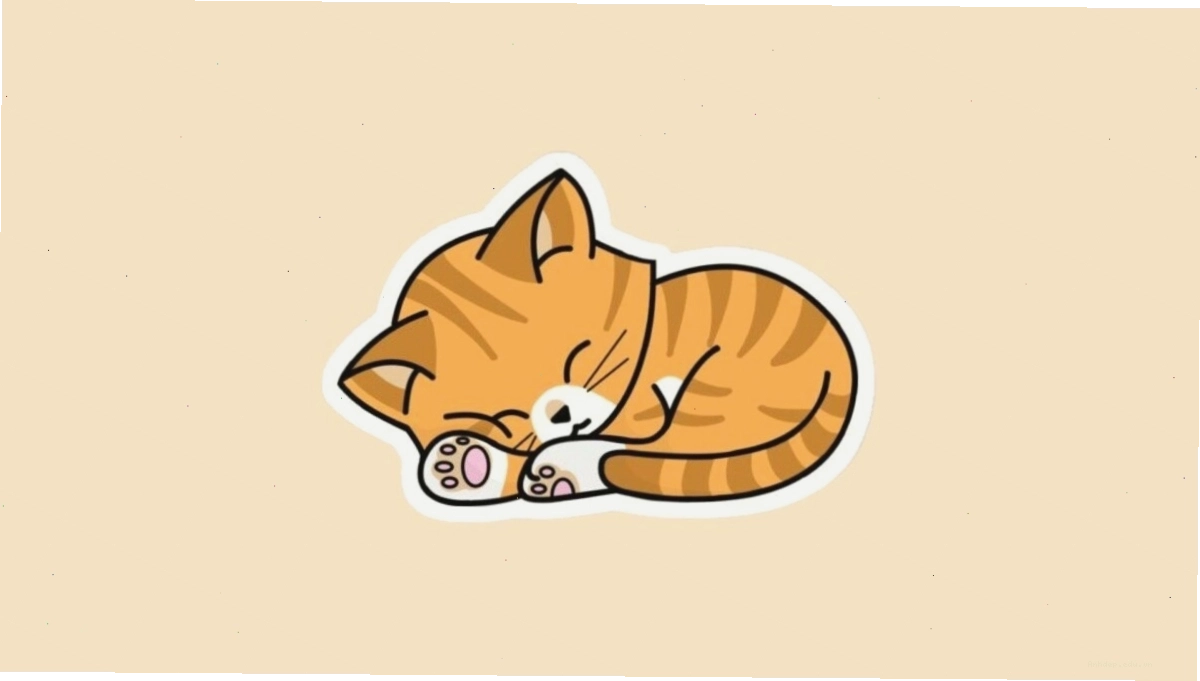 Mèo chibi mập ú với biểu cảm thèm ăn đáng yêu