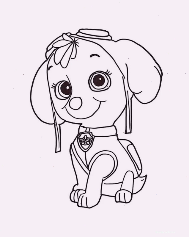 Minh họa các bước vẽ chibi con chó đơn giản