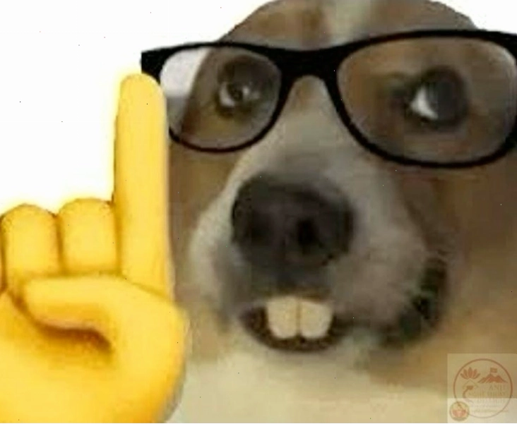 Một ví dụ điển hình về nerd meme với hình ảnh chàng trai đeo kính hài hước