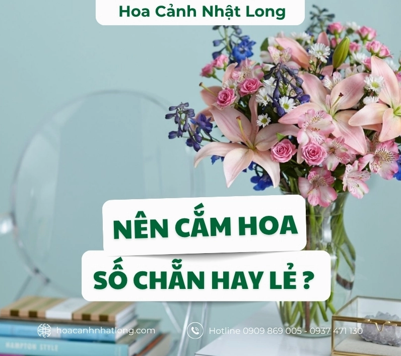 Nên cắm hoa số chẵn hay lẻ: Giải đáp chuẩn phong thủy